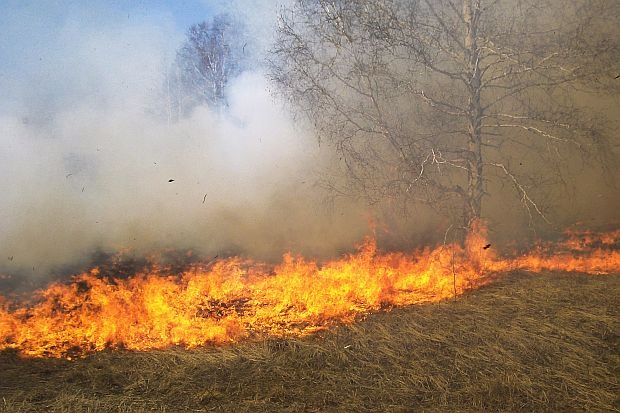 Загасени са пожари на сухи треви