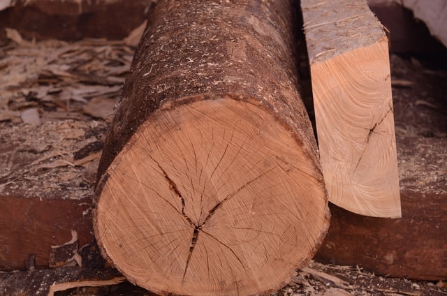 Осем кубика дърва бяха намерени в частен имот