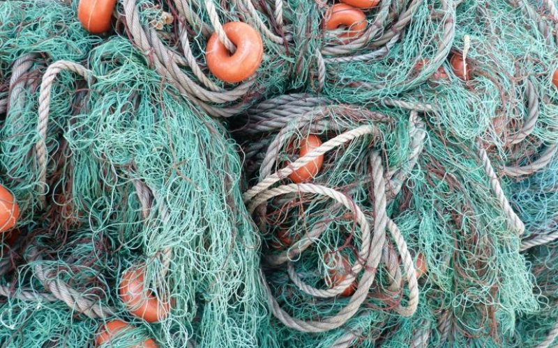 Отново откриха незаконни рибарски мрежи в езерото Сребърна
