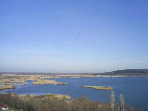 Ниското ниво на река Дунав не е повлияло негативно върху живота на птиците в резервата „Сребърна”