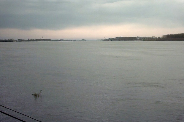 Рекорден брой участници се включиха в преплуването на река Дунав при Силистра