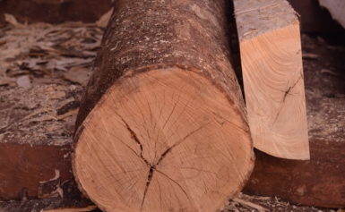Осем кубика дърва бяха намерени в частен имот