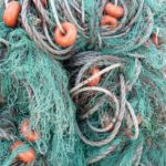 Отново откриха незаконни рибарски мрежи в езерото Сребърна